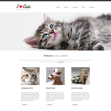 Cat Website Templates